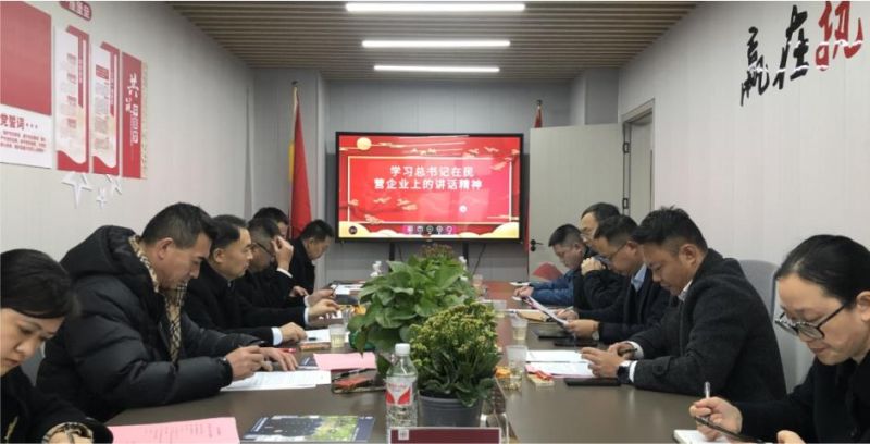 深入學(xué)習(xí)習(xí)總書記在民營(yíng)企業(yè)座談會(huì)上的重要講話精神